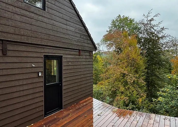 Douillets Du Vicomte Houyet